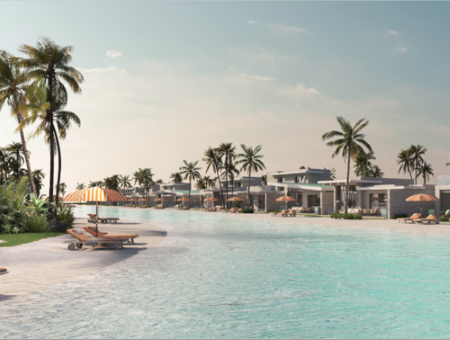 ساوث ميد الساحل الشمالي