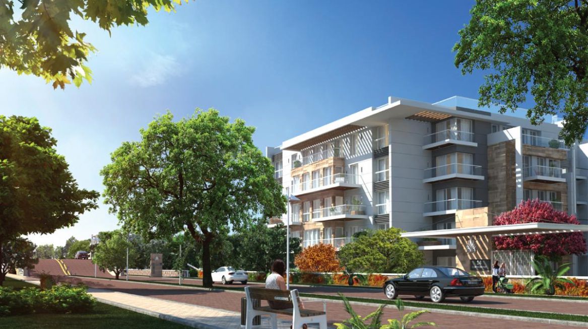 Mountain View Developments