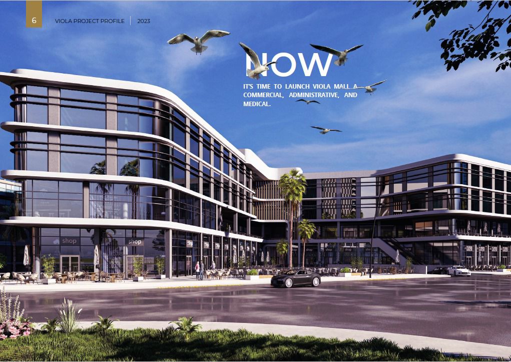 فيولا القاهرة الجديدة