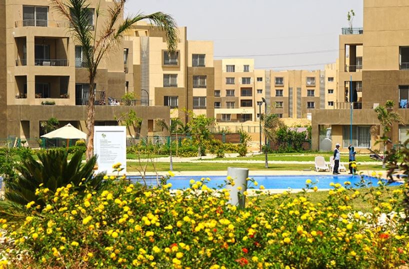Palm Park