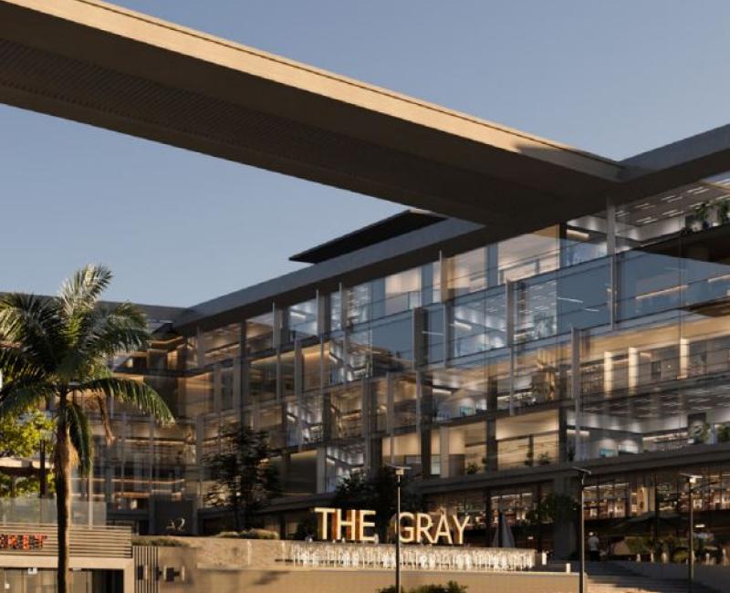 The Gray