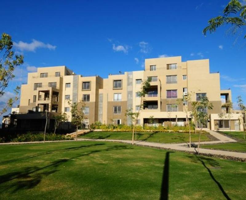 Palm Park
